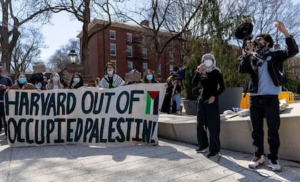 Harvard pierde fondos federales: gobierno acusa a la universidad de tolerar antisemitismo y corta subsidios para investigación y becas