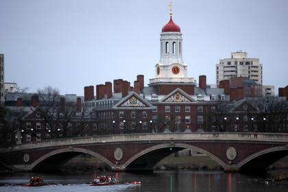 Harvard y gobierno de Trump disputarán en la corte el congelamiento de subvenciones