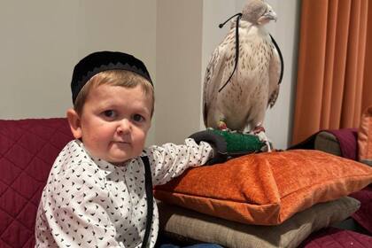 Hasbulla llegó a la Argentina con su look se llevó todas las miradas en la previa a su presentación en el Gran Rex