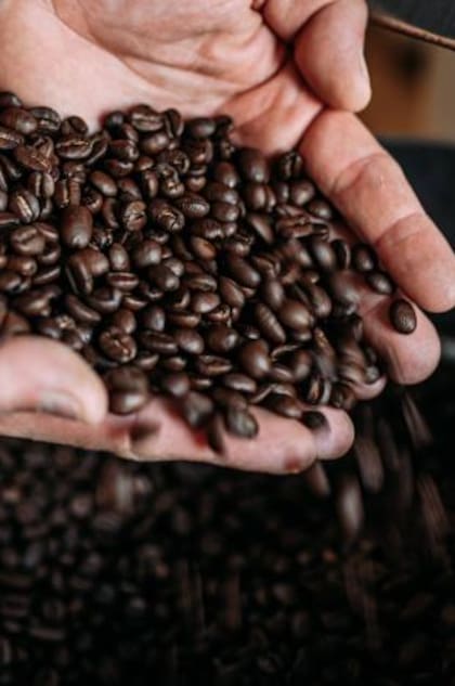 Hasta 5 tazas de café son recomendables al día, según expertos (Foto: iStock)