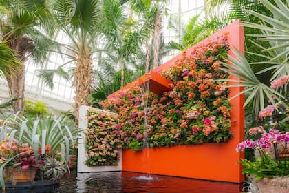 Hasta cuándo está en exhibición la muestra "El show de las orquídeas: modernismo mexicano"