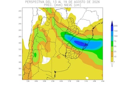 Hasta el 19 de agosto la mayor parte del área agrícola recibirá menos de 10 milímetros, con los mayores acumulados en el norte y centro de Corrientes