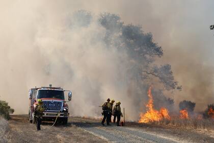 Hasta el momento, 20 estructuras fueron destruidas y 28 resultaron dañadas por el incendio Franklin, según datos de CAL FIRE