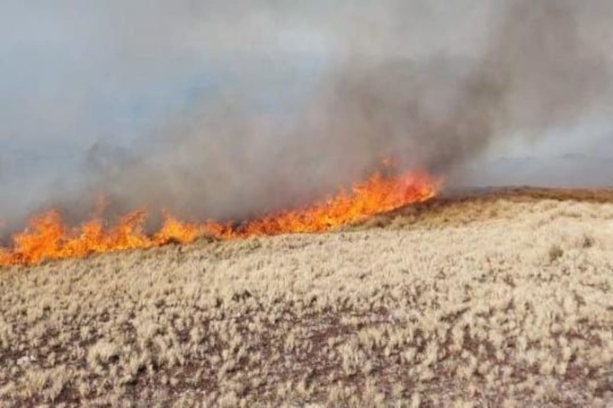Hasta el momento, el fuego en el cerro Champaquí afectó a unas 350 hectáreas