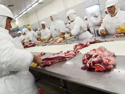 Hasta el momento, según la Comisión Europea, esas garantías no fueron consideradas suficientes, motivo por el cual resolvió avanzar con la suspensión de las importaciones