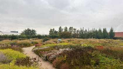 Hasta en días lluviosos se recorre el jardín.