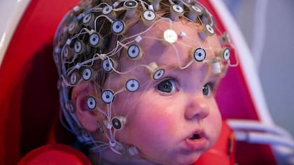 Hasta los 9 años, en el cerebro de los niños se produce una “consolidación de la red” neuronal