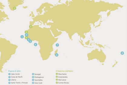 Hay 12 acuerdos de asociación de pesca sostenible en vigor entre la UE y países del océano Atlántico, Pacifico e Índico
