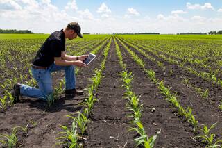 Censo: el 1,08% de las explotaciones agro tienen el 36,4% de las tierras