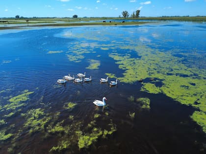 Hay 5,8 millones de hectáreas afectadas por el agua