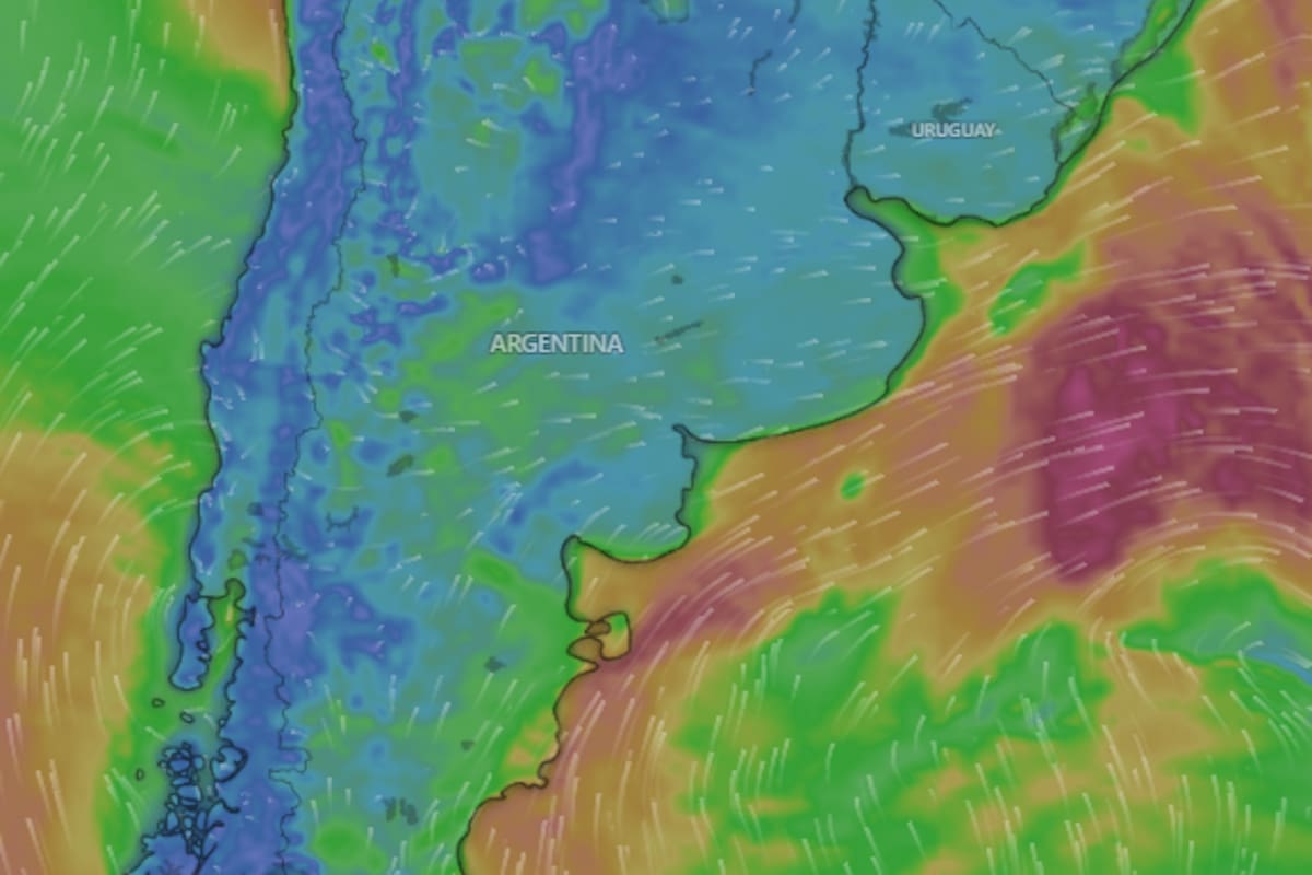 Hay alerta amarilla por frío extremo, nevadas, vientos y Zonda para este domingo 9 de agosto: las provincias afectadas