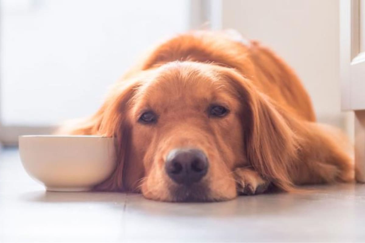 Hay algunos detalles que pueden dar indicios de problemas de salud