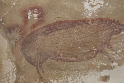 Hay dos manos pintadas sobre el cerdo.