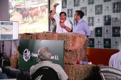 Hay expectativa por los valores que tengan los remates