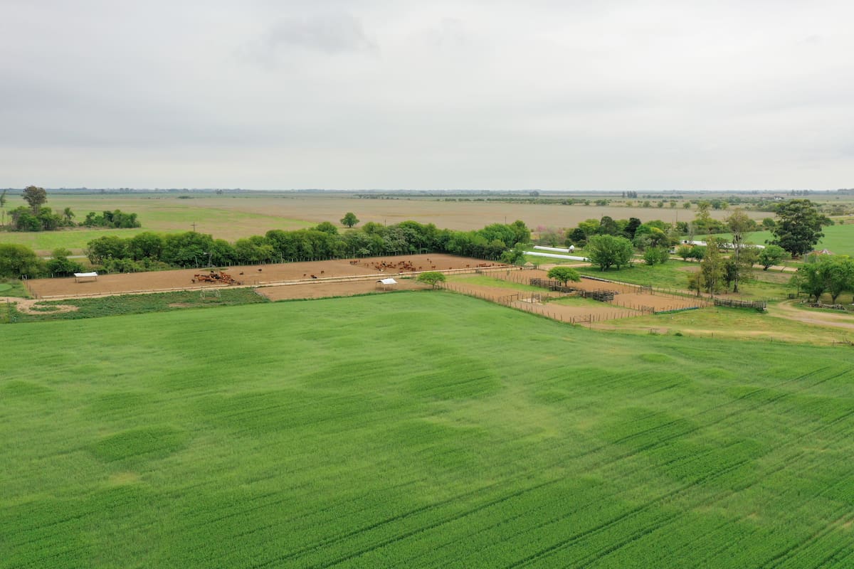 Hay expectativas en el mercado tras la rebaja de las retenciones. Gentileza: Conte Bienes Raíces