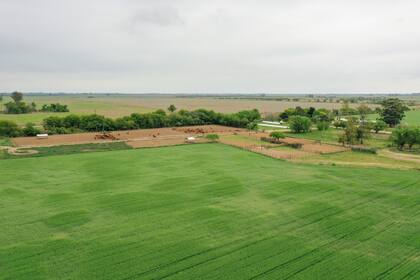 Hay expectativas en el mercado tras la rebaja de las retenciones. Gentileza: Conte Bienes Raíces