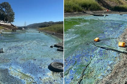Hay focos de contaminación en distintas zonas del lago