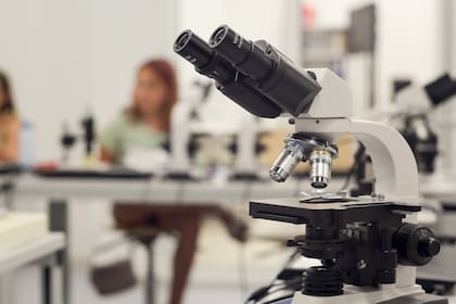 ¿Hay lugar para la creatividad y la imaginación en la investigación científica? Para Tom McLeish, profesor de Filosofía Natural de la Universidad de York, hay pocos espacios para las historias humanas de asombro, imaginación e ideas fallidas