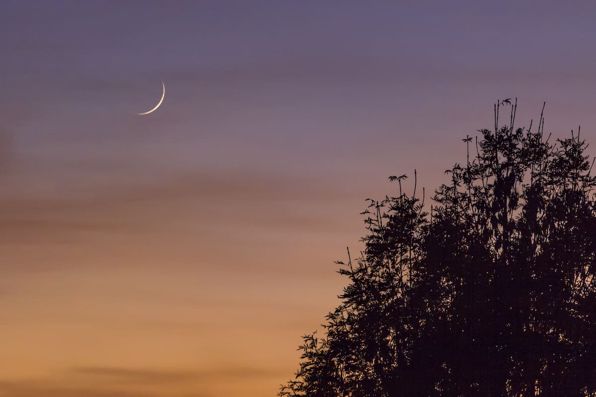 Hay Luna nueva este jueves 20 de noviembre, ideal para hacer rituales
