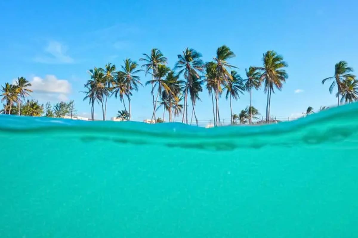 Hay menos de una veintena de islas con más de un soberano