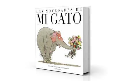 Hay novedades de un felino con problemas de identidad