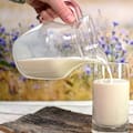 Cinco alimentos para prevenir la osteoporosis sin depender solo de la leche