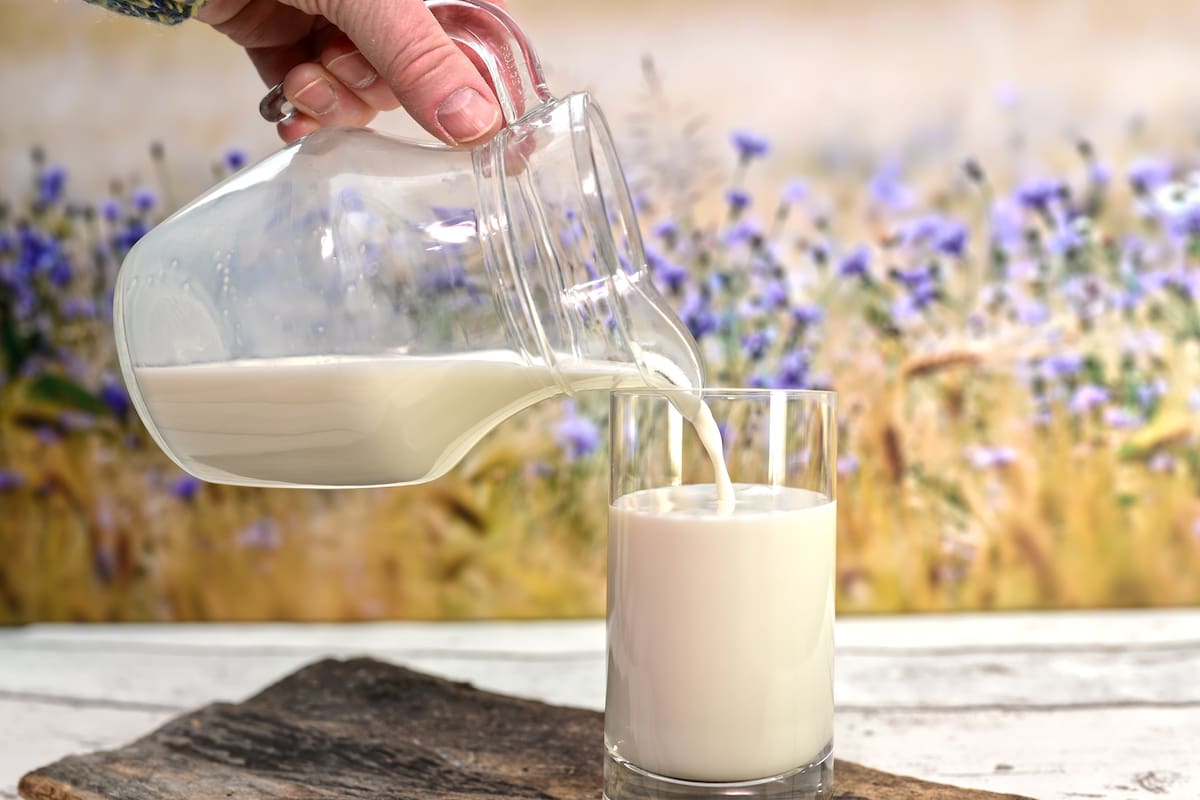 Hay otros alimentos, además de la leche, que aportan calcio