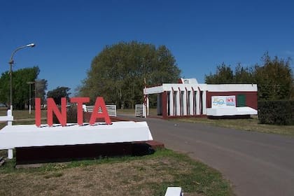 Hay polémica por las tierras que le quieren quitar al INTA Marcos Juárez