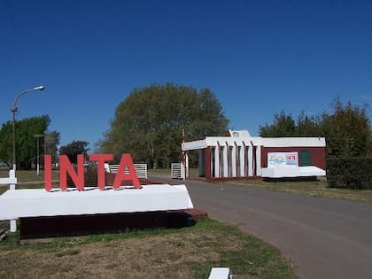 En el organismo se realizan investigaciones claves