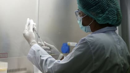 Se estima que se necesitan unos 20.000 vacunadores