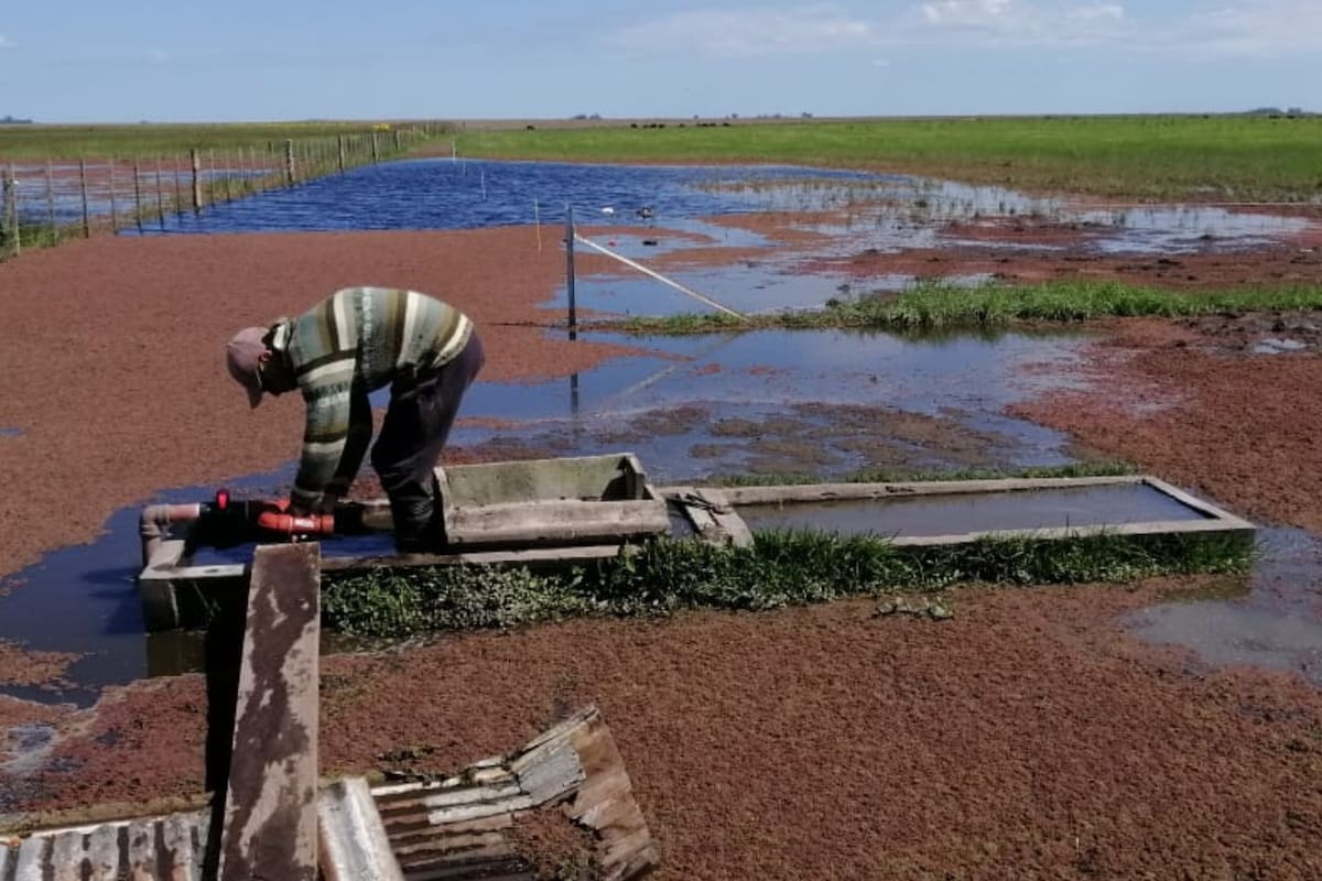 Hay productores que llevan meses sin poder ingresar a los campos