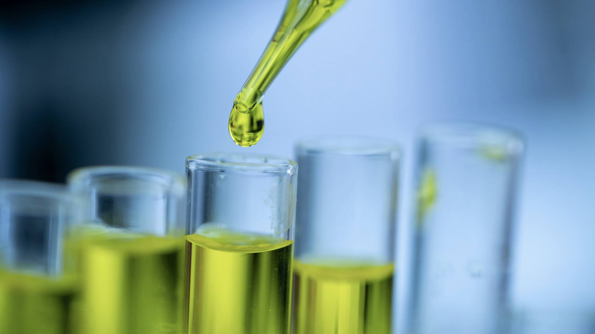 Hay que distinguir entre el CBD (cannabidiol) que es un componente no psicoactivo, y el THC (tetrahidrocannabinol), que es el componente psicoactivo en el producto recreacional