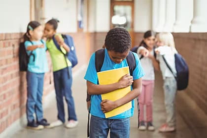 Hay que educar a los alumnos para que aprendan a respetar las diferencias