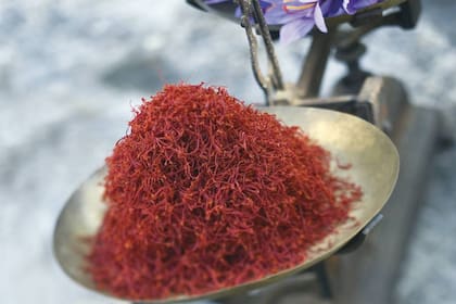 Unas 160.000 flores se requieren para producir un gramo de azafrán