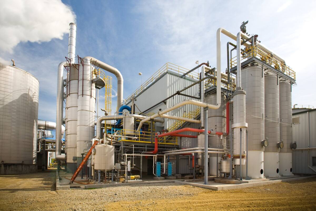 Hay que proyectar el agregado de valor a partir de la producción