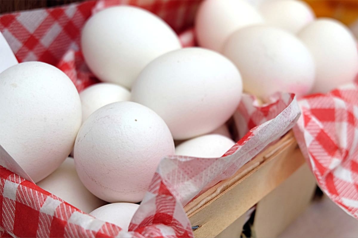 Hay que tener cuidado a la hora de consumir un huevo que estuvo mucho tiempo en la heladera (Foto: Pixabay)