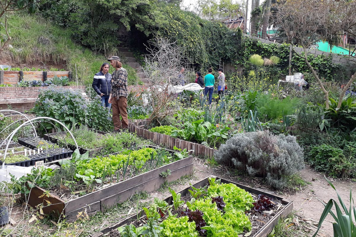 Hay quienes brindan solidariamente herramientas para que otros se capaciten y cultiven la tierra.