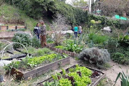Hay quienes brindan solidariamente herramientas para que otros se capaciten y cultiven la tierra.
