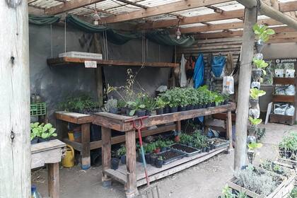 Hay quienes brindan solidariamente herramientas para que otros se capaciten y cultiven la tierra.