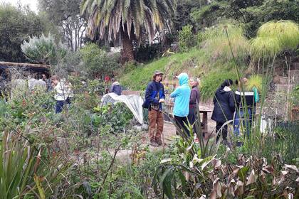 Hay quienes brindan solidariamente herramientas para que otros se capaciten y cultiven la tierra.