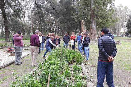 Hay quienes brindan solidariamente herramientas para que otros se capaciten y cultiven la tierra.