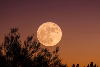 ¿Hay relación entre la Luna llena y los terremotos?