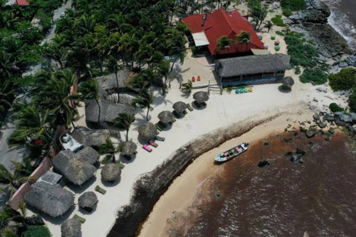 Hay rincones de algunas playas del Caribe mexicano en las que la acumulación de sargazo es más evidente