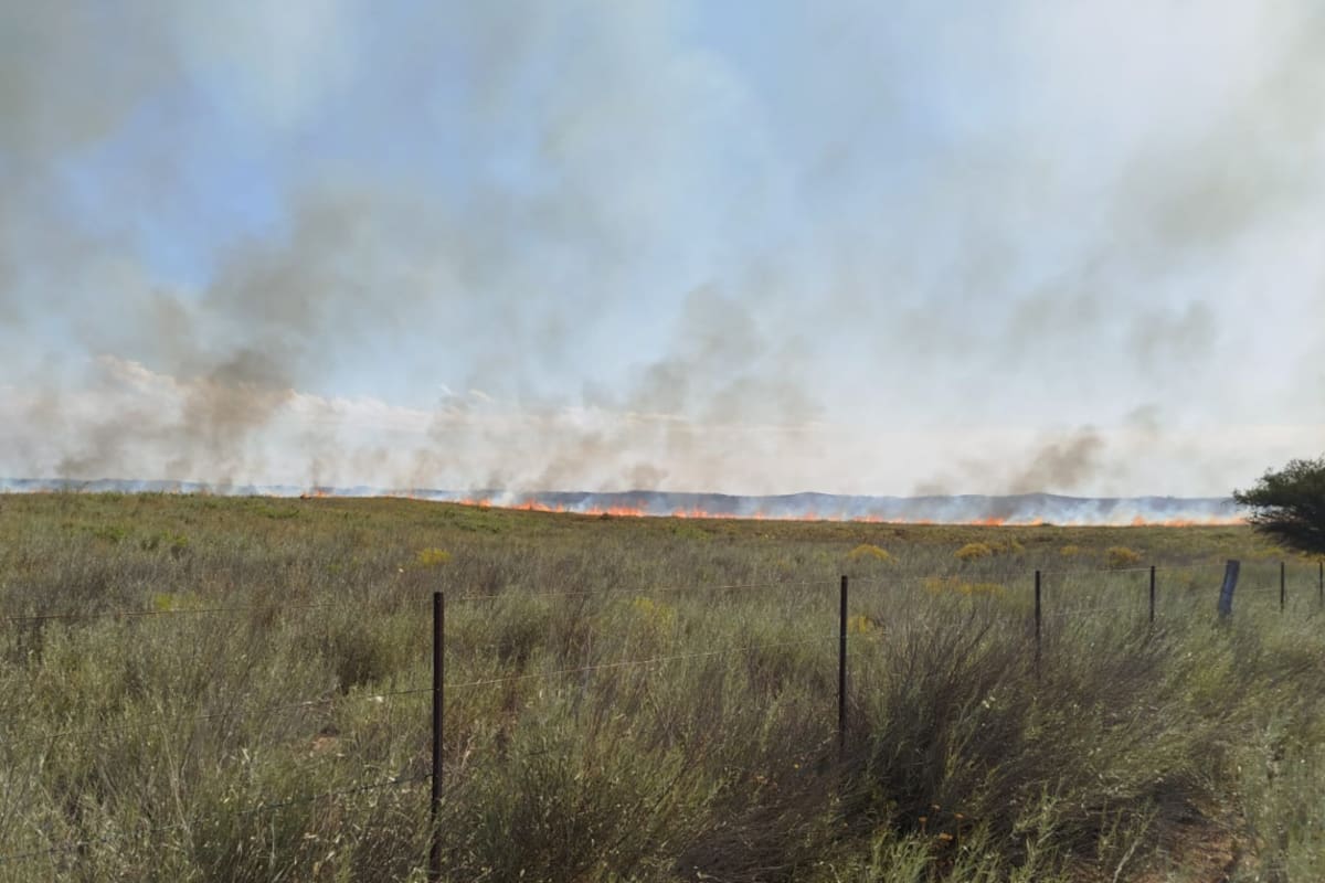 Hay temor a que se agrave la situación durante el verano