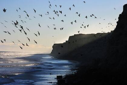 Hay tiempo hasta el 11 de octubre para participar en el concurso, que otorga como premio alojamientos y excursiones