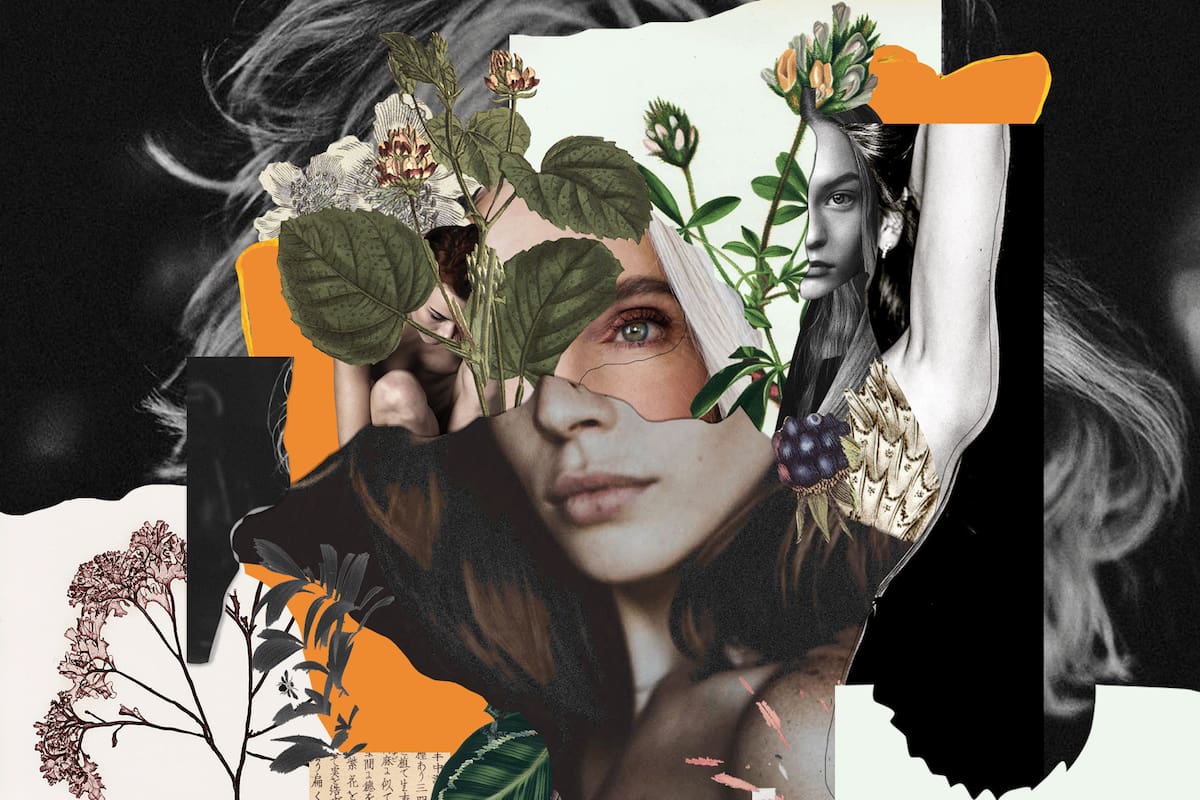 Hay un nuevo ingrediente natural, obtenido de plantas medicinales, que se usa en las cremas antiage y promete reemplazar al famoso retinol, de origen animal.