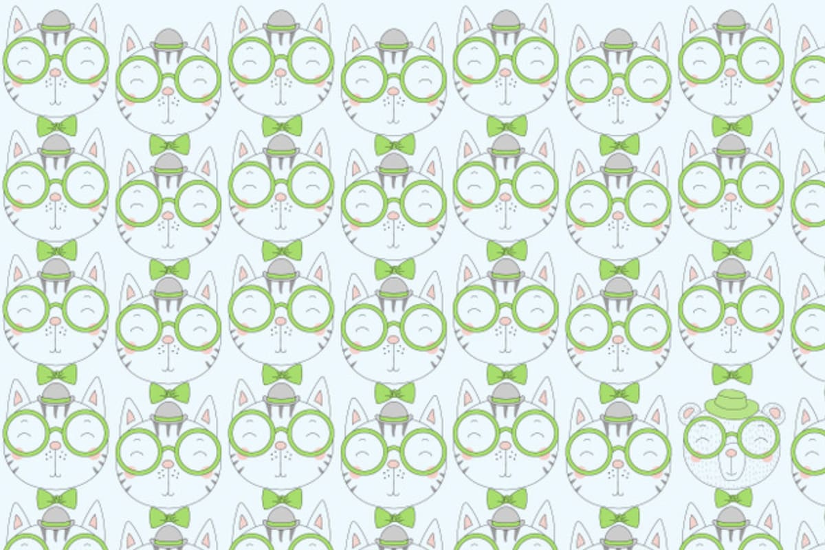 Hay un oso entre los gatos (Foto Genial guru)