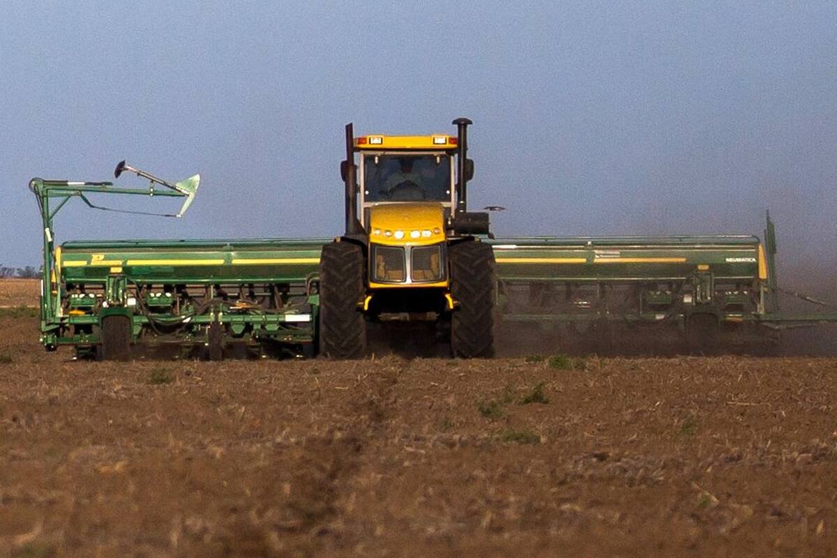 Hay un repunte en las ventas del sector