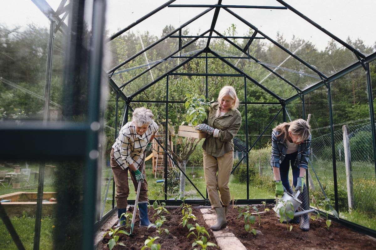 Hay una etapa en la cual las personas sienten jóvenes para muchas cosas, pero son tratados como adultos mayores; hay quienes llaman a esa etapa la madurescencia