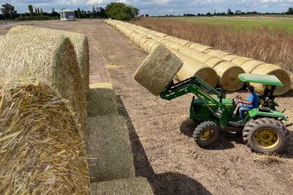 Hay una oportunidad para incorporar tecnología